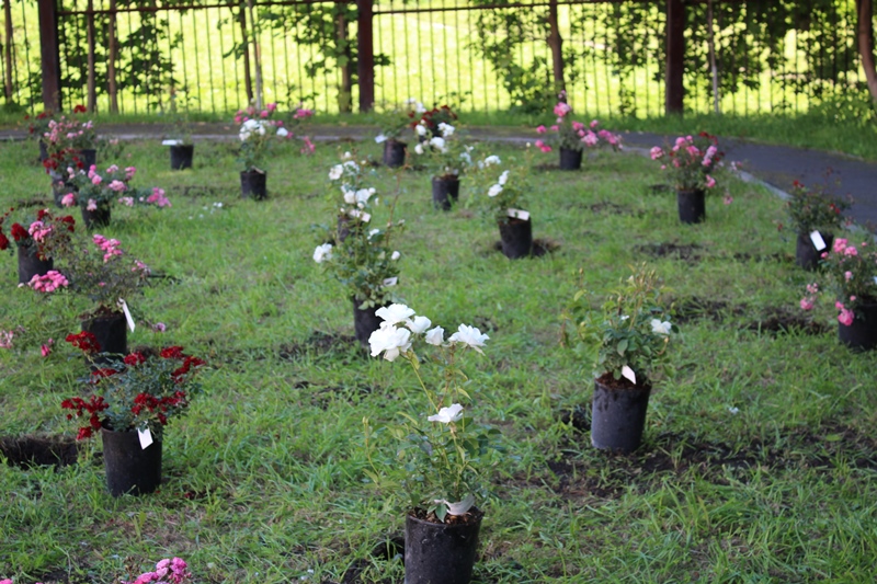 Эстафета добра 8