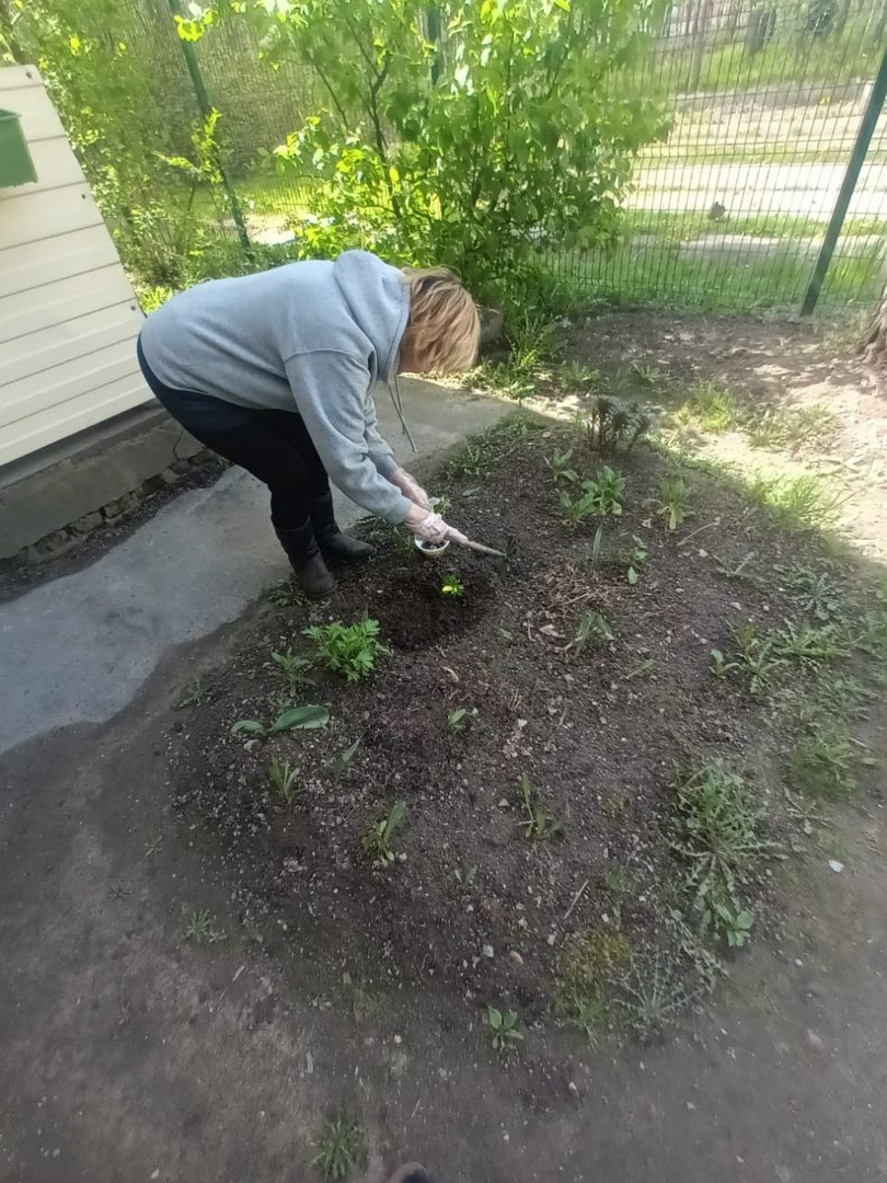 Красота вокруг нас