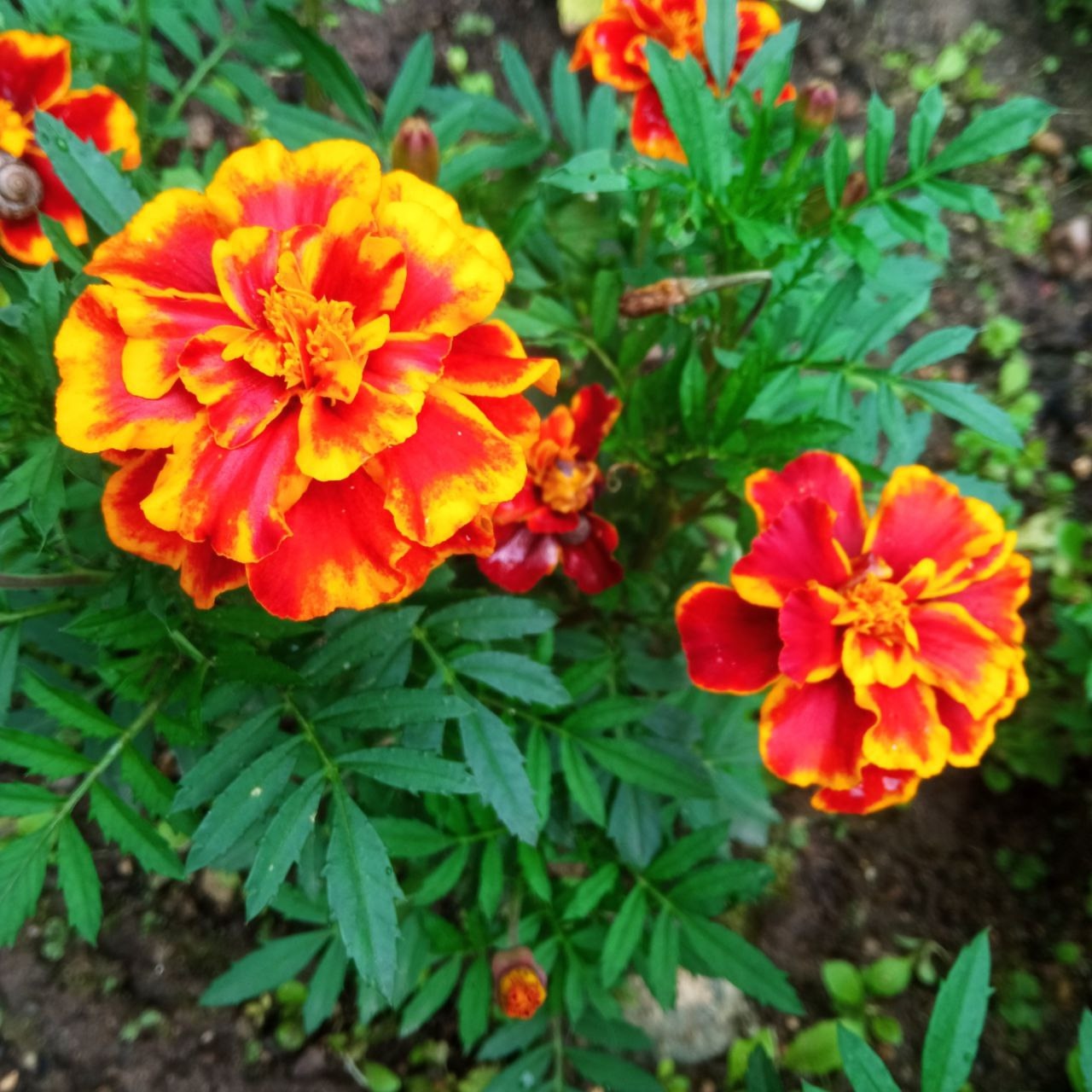 Доброе утро, друзья! 