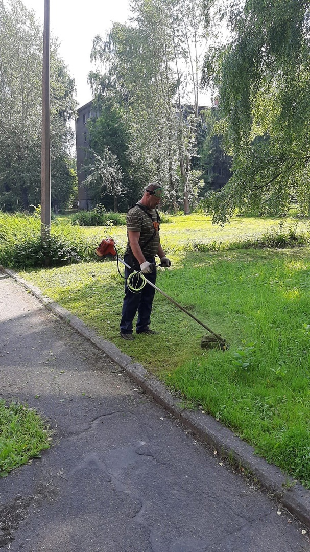 Ухоженный и аккуратный газон – украшение любого участка