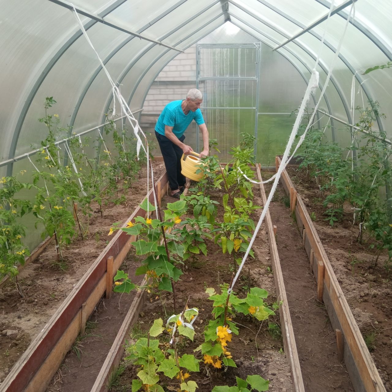 Социальная реабилитация через растениеводство